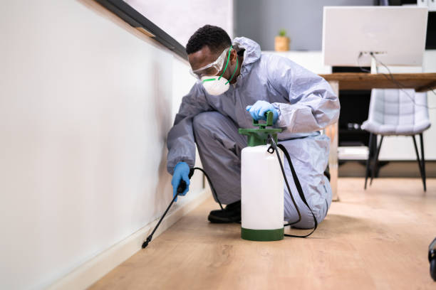 Real Estate Pest Inspections in Gages Lake, IL